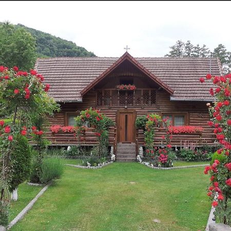 Casa Bunicii 호텔 Costeşti 외부 사진
