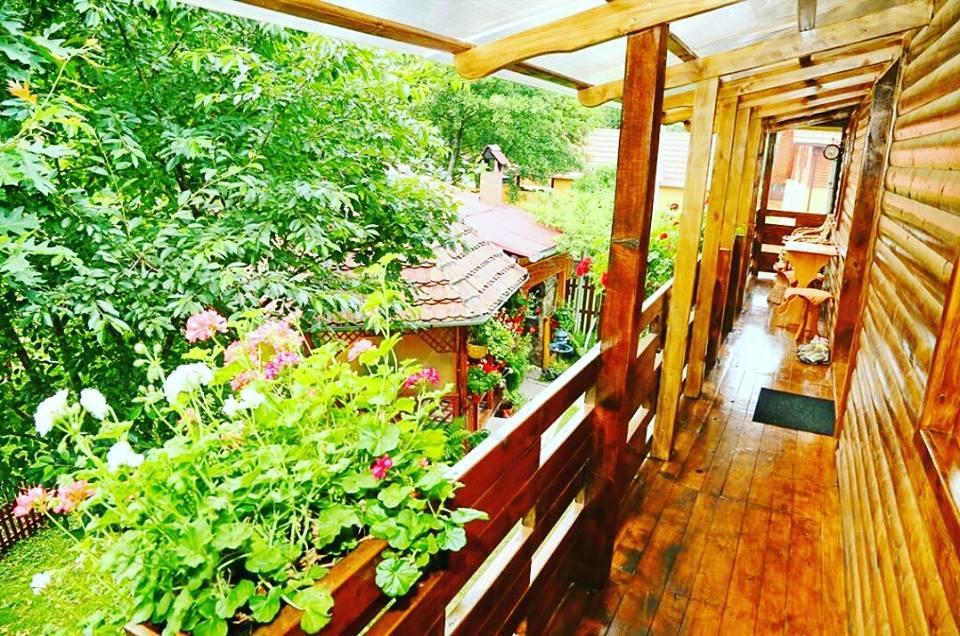 Casa Bunicii 호텔 Costeşti 외부 사진