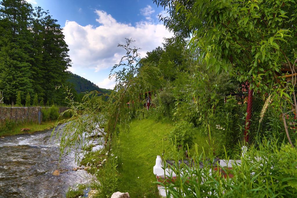 Casa Bunicii 호텔 Costeşti 외부 사진